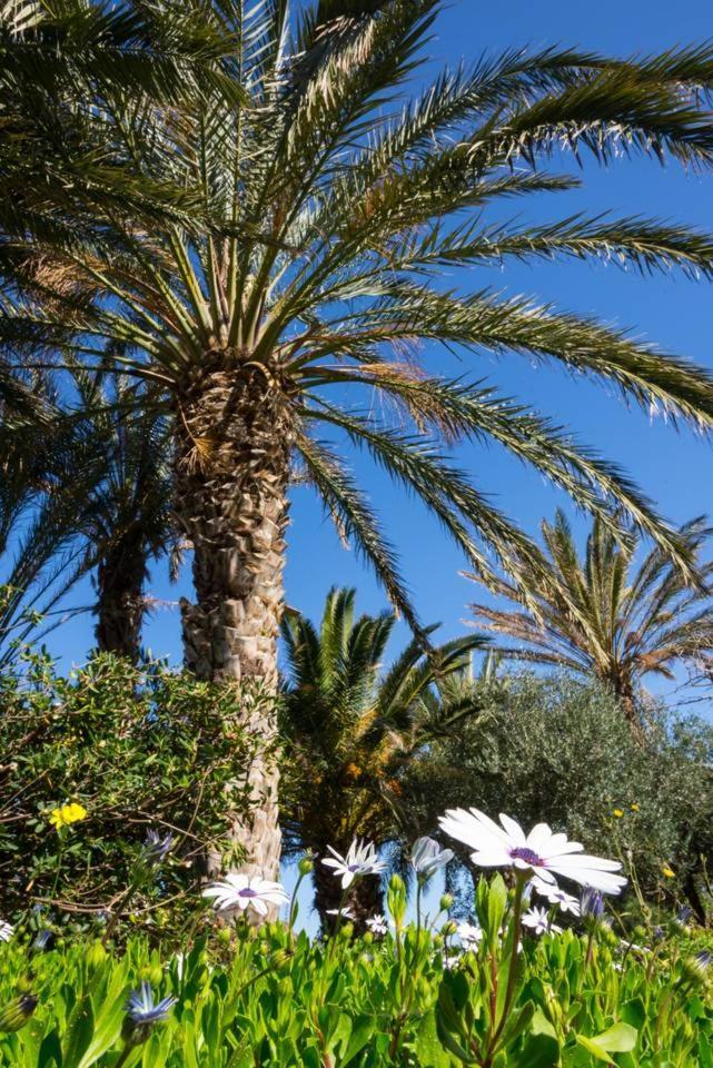 הוילה סיטייה Authentic Cretan Stone Windmill מראה חיצוני תמונה